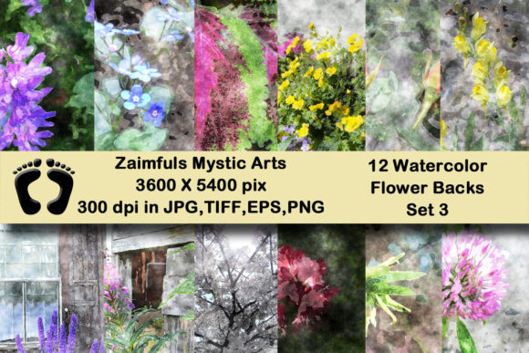 12 Watercolor Flower Backs Set 3 Illustrations
