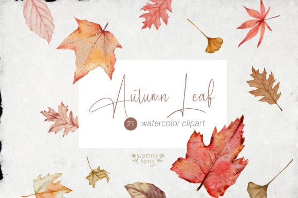 Autumn Leaf Watercolor Clipart, PNG for Illustrations