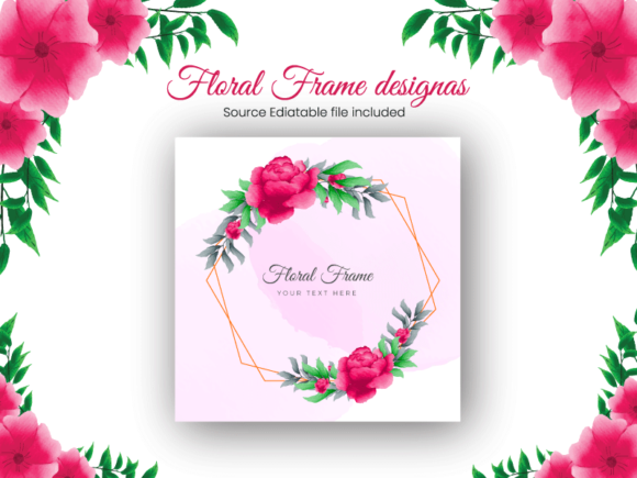 Colorful Flowers Watercolor Elements and Illustrations