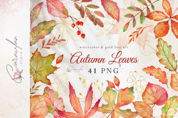 Fall Leaves Watercolor Clip Art and Illustrations