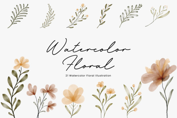 Floral Watercolor Illustration and Illustrations