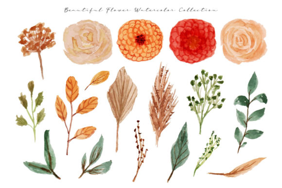 Soft Flowers and Leaf Watercolor Illustrations