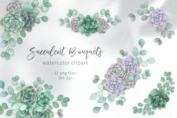 Succulent Floral Watercolor Clipart and Illustrations