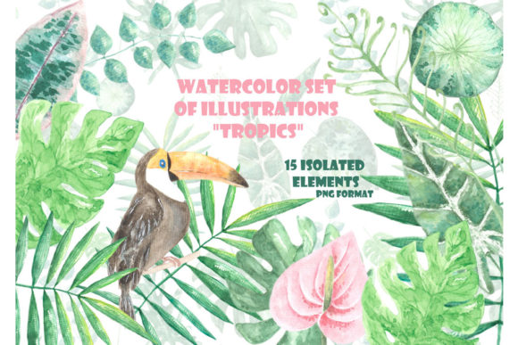 Tropics Watercolor Clipart. Toucan, Leaf