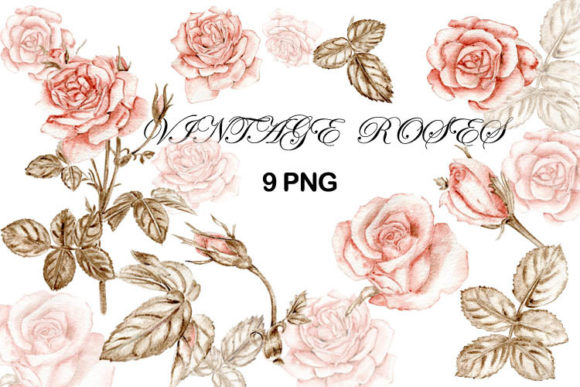 Vintage Roses Watercolor Clipart and Illustrations