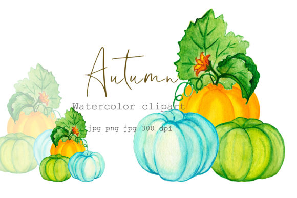 Watercolor Clipart Autumn Pumpkin PNG and Illustrations