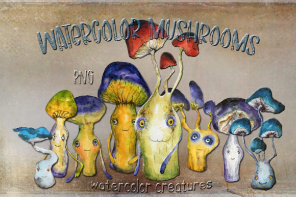 Watercolor Drawings of Mushrooms and Illustrations