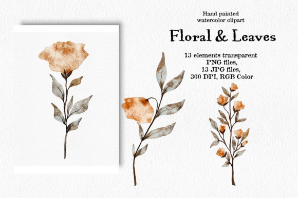 Watercolor Floral and Leaves Illustrations