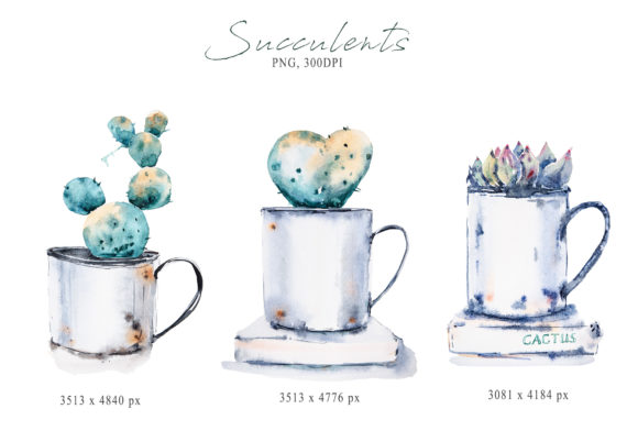 Watercolor Potted Succulent Sublimation Illustrations