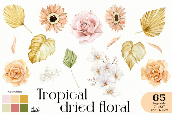 Watercolor Tropical Dried Floral Clipart and Illustrations
