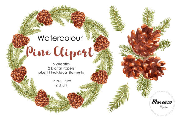 Watercolour Pine Clipart Bundle and Illustrations