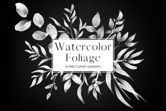 White Watercolor Foliage Clip Art and Illustrations