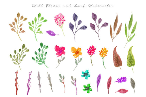 Wild Flower and Leaf Watercolor
